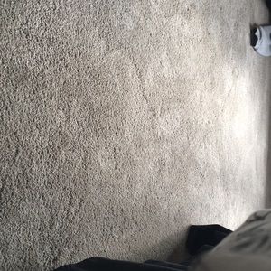 Meet your Posher, Dominique